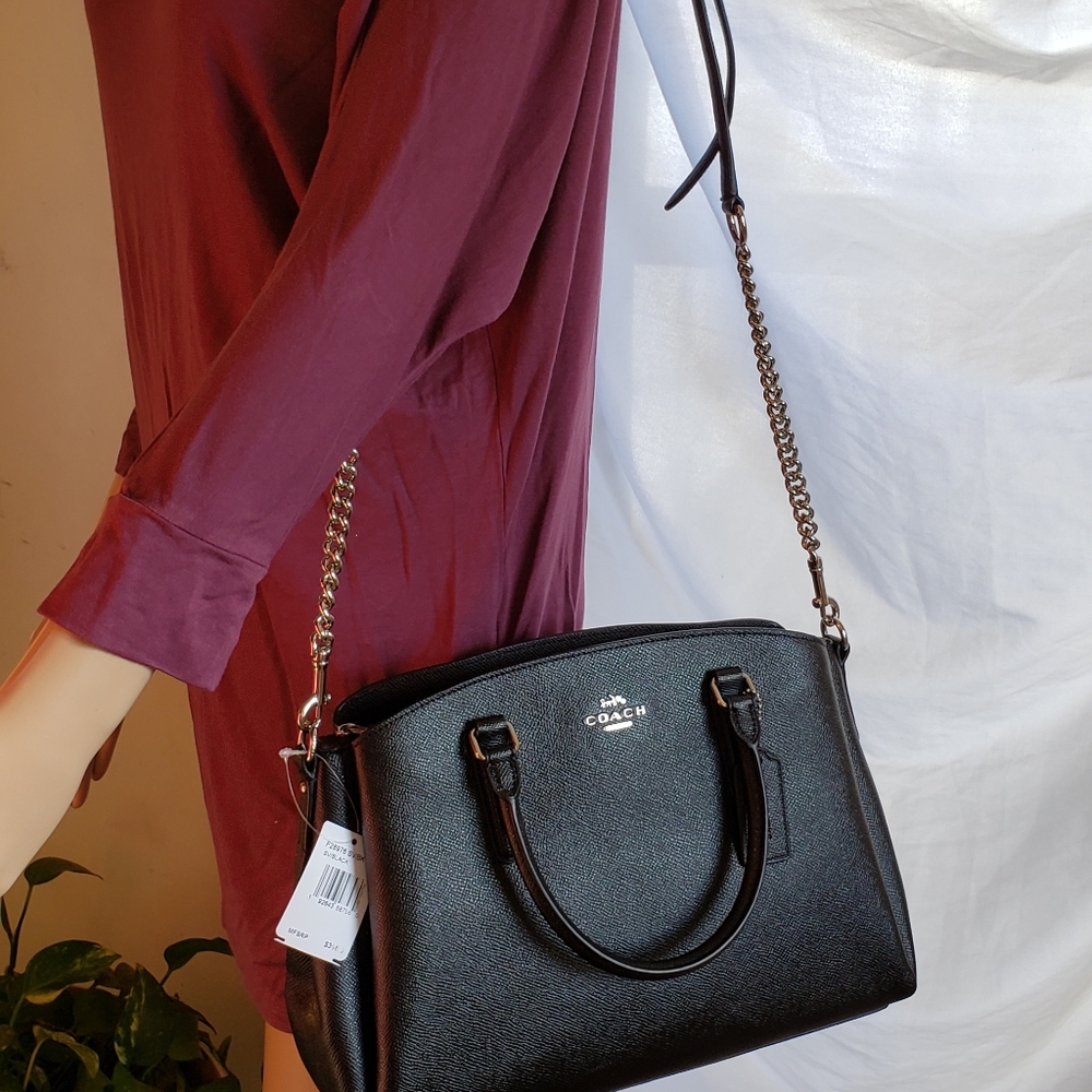 🎄$150 OFF!!  Coach Sage Carryall🎄 - Picture 2 of 8